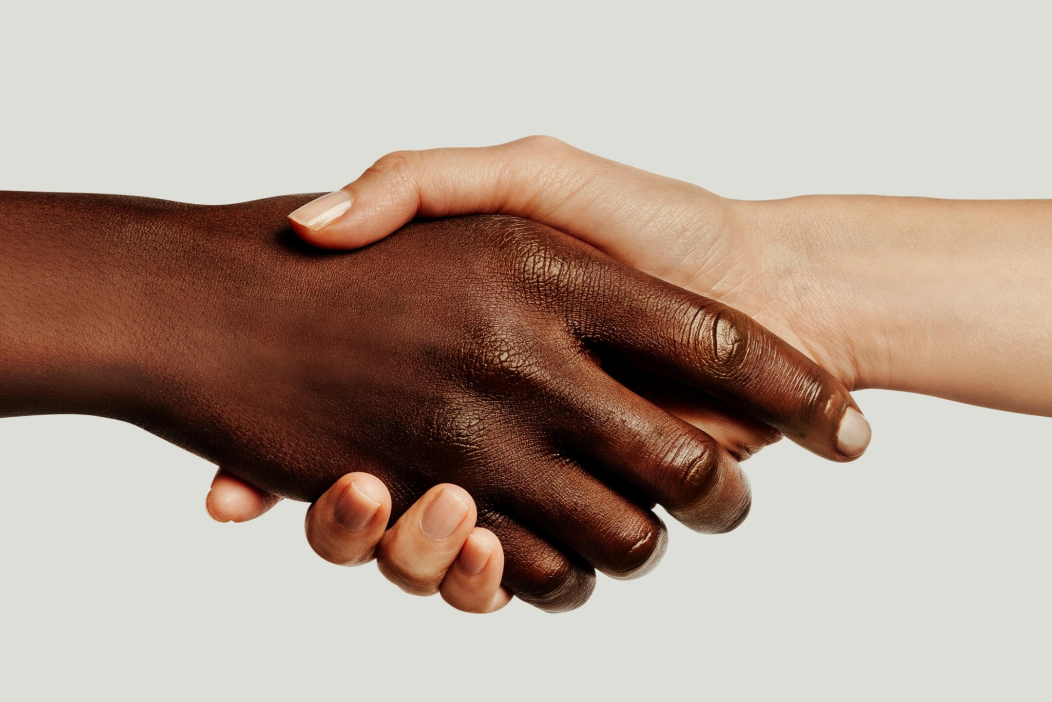 View Our Official FMCSA MOTUS Record Shaking hands image linking to our official FMCSA MOTUS record